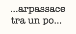 arpassace
